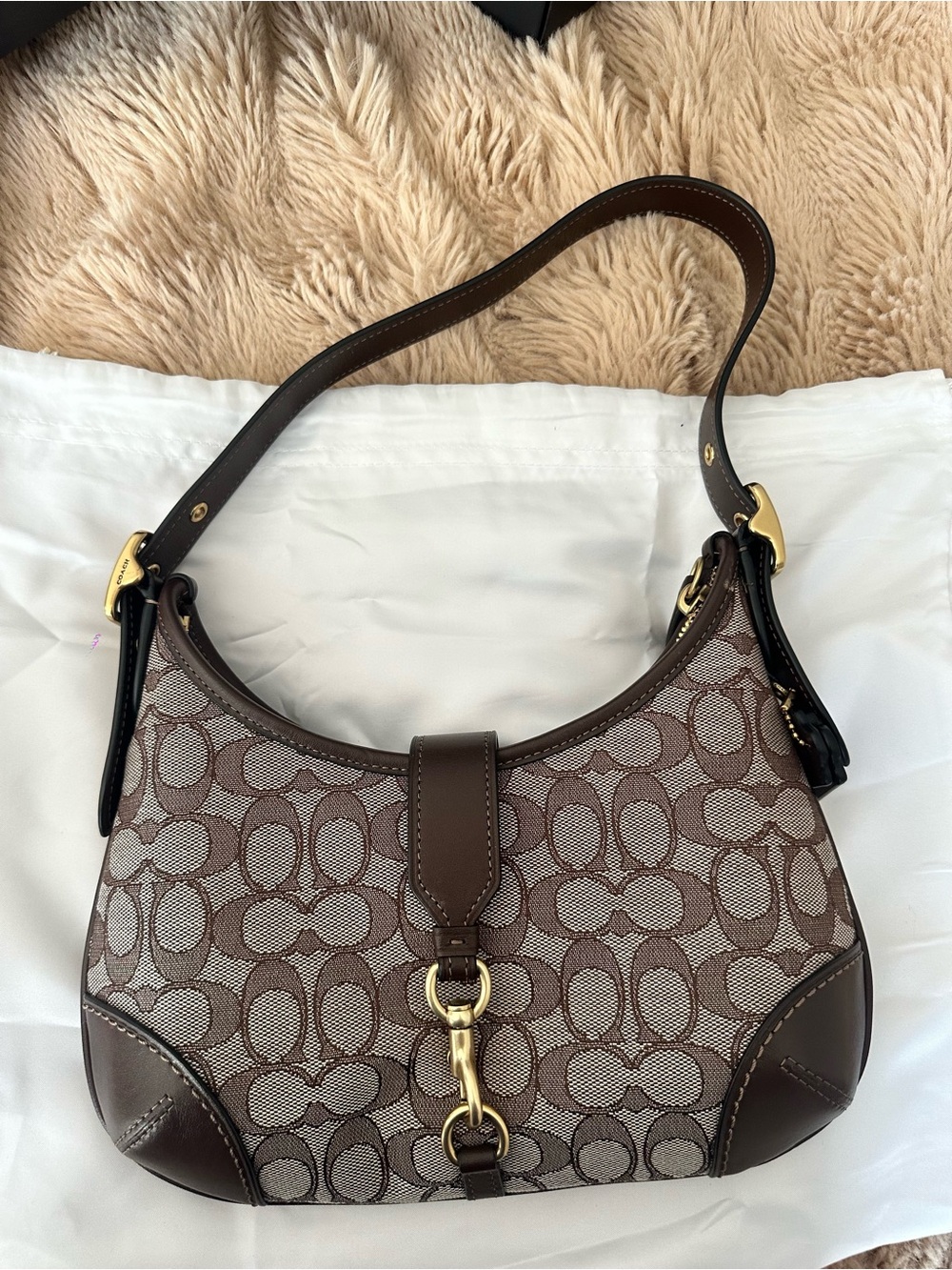 Coach The Hamptons Hobo Limited Edition 2005